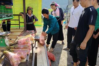 IMG_20240902_163257_ab4b5