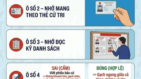🗳️ Tuyên truyền bầu cử đại biểu Quốc hội khóa XVI và đại biểu HĐND các cấp nhiệm kỳ 2026 - 2031