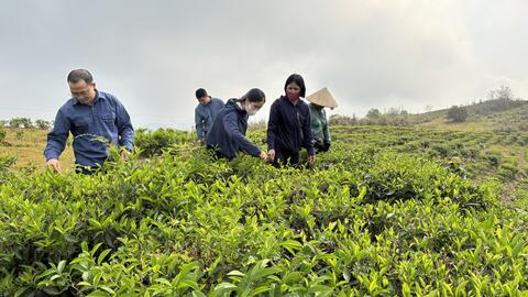 Đồng chí Bí thư đảng uỷ xã và đoàn công tác của xã kiểm tra tình hình sản xuất vụ Đông - Xuân